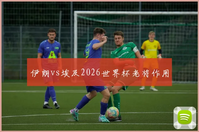 伊朗vs埃及2026世界杯老将作用