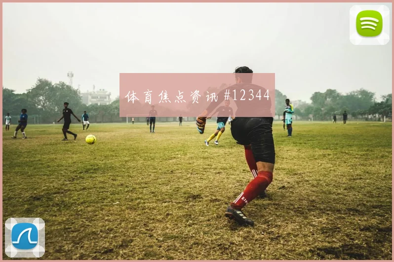 本纳赛尔对阵阿根廷队小组赛后腰保护走势研判