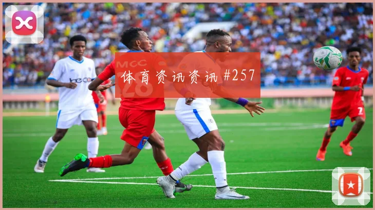 美国vs土耳其2026世界杯总进球分析