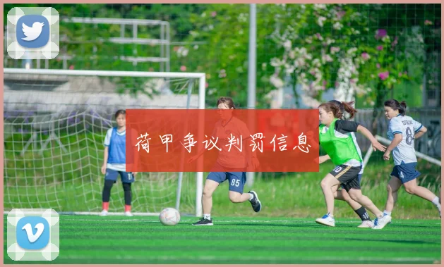 荷甲争议判罚信息