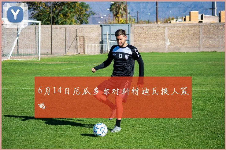 6月14日厄瓜多尔对科特迪瓦换人策略