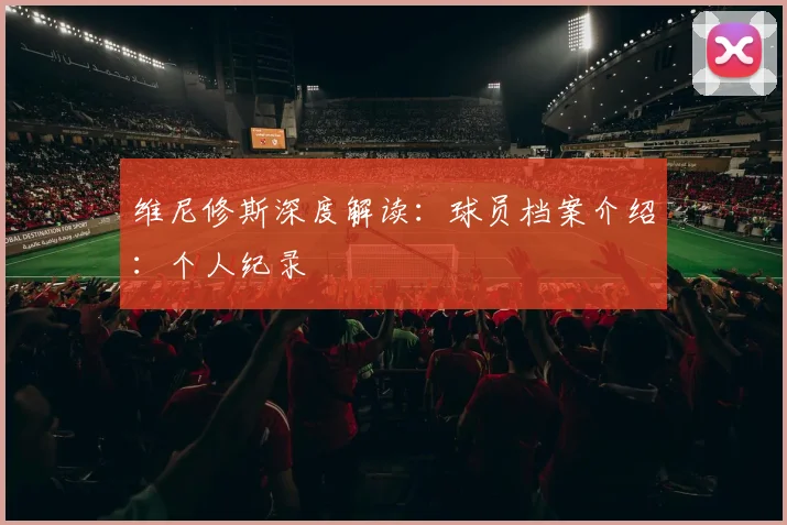 维尼修斯深度解读：球员档案介绍：个人纪录